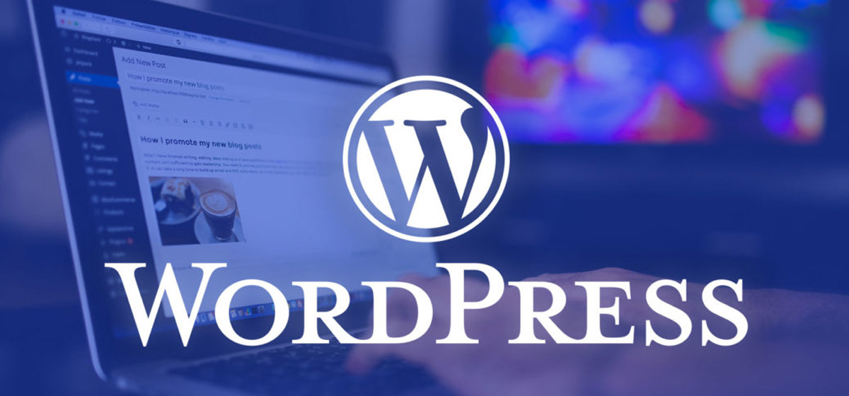 طراحی سایت وردپرس چیست؟ چقدر درآمد دارد؟ مزایا و معایب