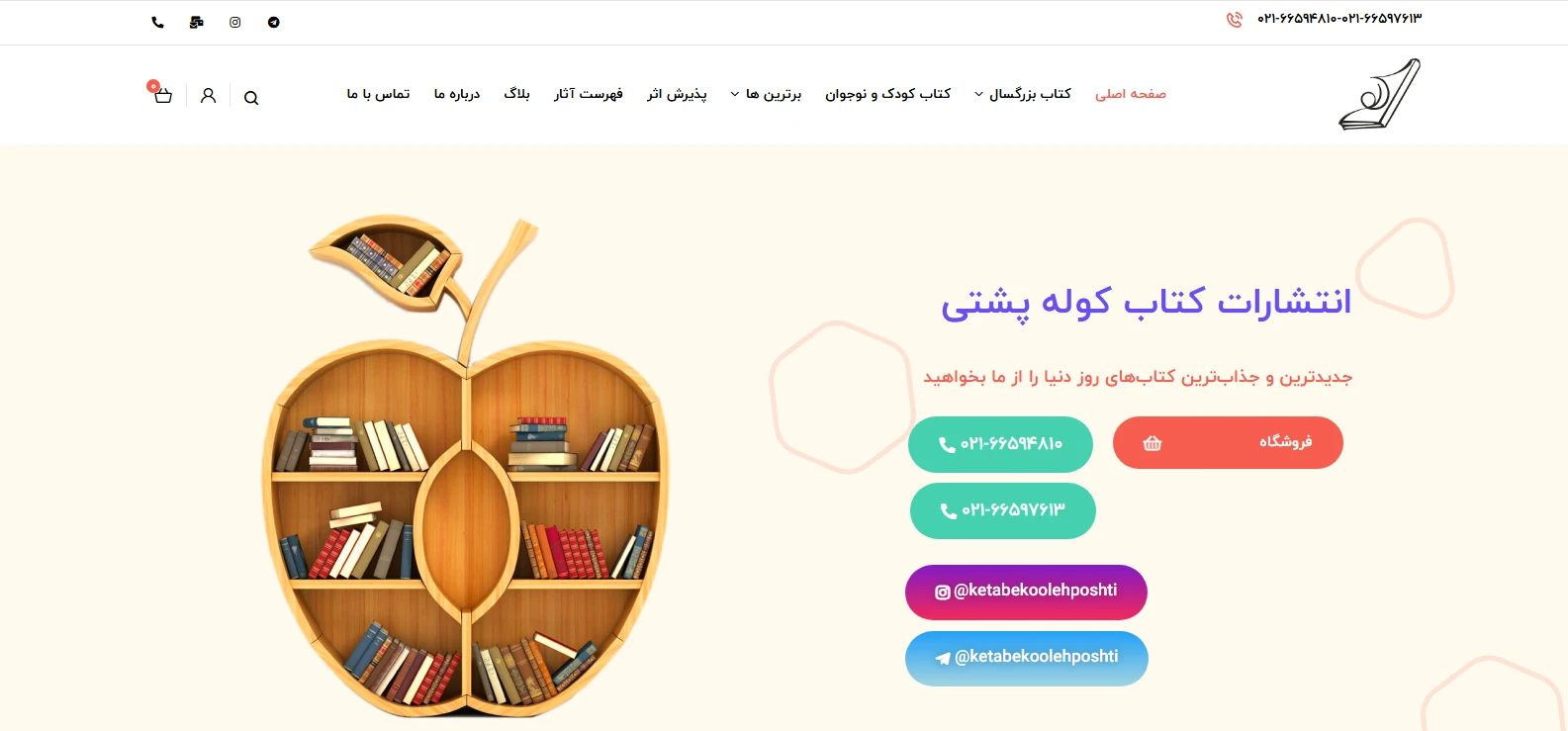 نمونه سایت های طراحی شده با وردپرس داخلی و خارجی